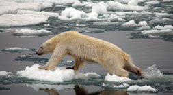 Resized climate change